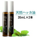 ハッカ油 スプレー 天然ハッカ油100% 20mL ハッカ スプレータイプ 2個日本製 ペパーミント 虫除け 熱中症対策 冷却 除菌消臭に薄荷(ハッカオイル)Mentha Oil メンタオイル100 メントール 