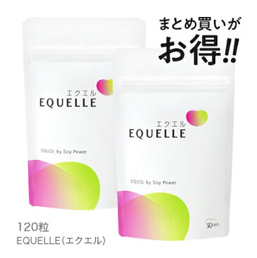 エクエル パウチ 【即〜3営業日出荷】【正規品】 120粒 × 2袋 大塚製薬 2個セット 送料無料 エクオール 大豆イソフラボン サプリメント【メール便】