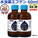 【第2類医薬品】【全国送料無料】水虫薬 エフゲン 水虫 60ml×2本セット いんきん 治療 薬 白癬菌 いんきんたむし 爪水虫 インキン 足指 手 足 角質 角質ケア 液体 水虫治療薬 市販薬 通販 女性 レディース 医薬品