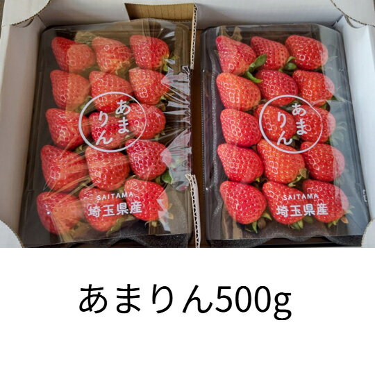 水野農園 埼玉県産 あまりん いちご500g 家庭用...
