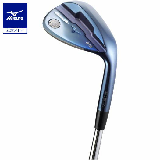 ~Ym Mizuno Pro S18EGbW u[IP Dynamic Gold 120 X`[Vtgt