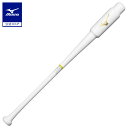 野球 トレーニングバット ミズノ公式 打撃可トレーニング PNVW 木製 83cm 平均700g ホワイト トレーニング 練習用バット 1CJWT24983