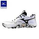 ミズノ公式 ウエーブモーメンタム エリート バレーボール ユニセックス ホワイト×ブラック×ゴールド KAKIZOME PACK