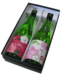 ひめぜんきりり・梅ギフト720ML2本入り