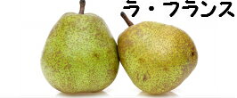 ラフランス　訳あり　約10kgばら詰め　山形県産　ラ・フランス　送料無料　（九州は送料600円増し）　わけあり　セール　お買い得　洋梨 mizusawasyoutenn-10000081 農家直売所 サンプル画像3