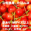 訳あり　紅秀峰　700g　二箱で1000円引き　山形産　さくらんぼ　など　サイズMサイズ以上　ばら詰 ...