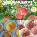 白桃・黄桃　詰合せ　2.7kg箱（8〜15玉）　福島　伊達産