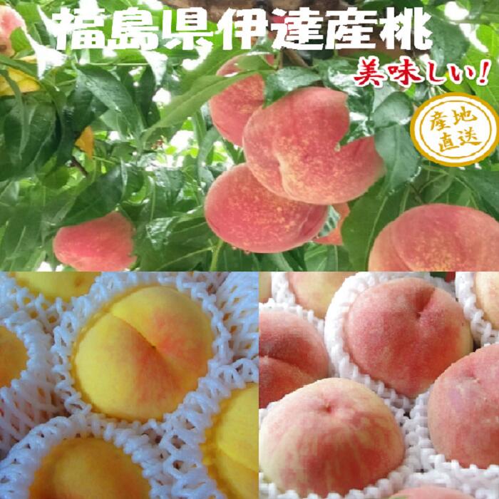 ʡ縩ãĤ2ʣ̡