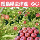 10〜16玉　5kg 福島県　会津産　送料無料　りんご　リンゴ　林檎　サンふじ　ふじ（九州は送料60 ...