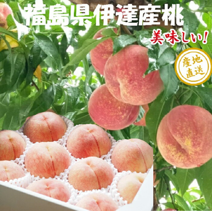 ʡ縩ãĤ31012̡
