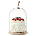 LSA IVALODOME & ASH BASE220mm<箱入り>