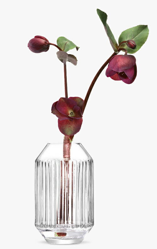 LSA ROTUNDARotunda Vase ベース（花瓶）H15cm＜箱入り＞