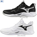 MIZUNO(ミズノ)ウエーブモーメンタム プロ WAVE MOMENTUM PRO(V1GA2540)(スポーツ/バレーボール/バレーシューズ/屋内シューズ/靴/2E相当/男女兼用/ユニセックス)