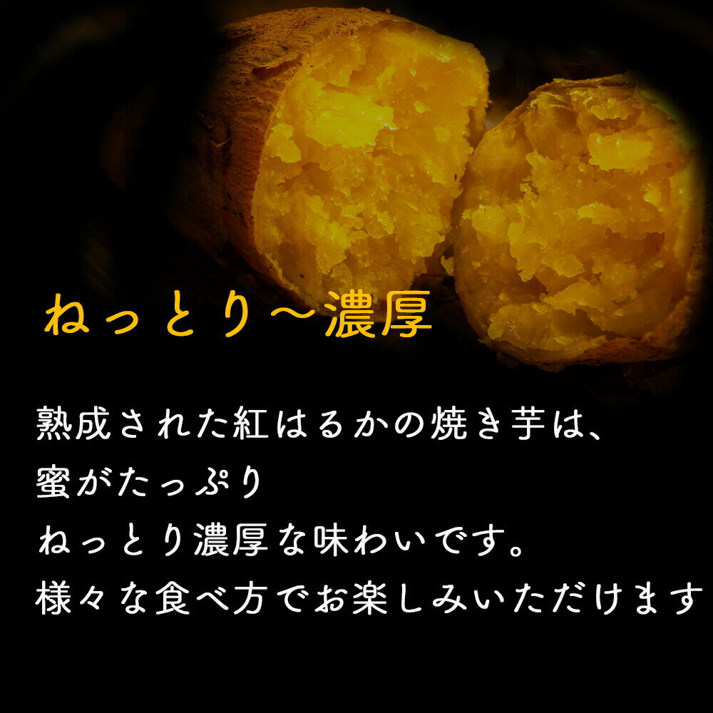 冷凍焼き芋 焼き芋 紅はるか 国産 ひんやり ホクホク 甘い 冷凍 スイーツ お菓子 さつま芋 さつまいも しっとり ねっとり サツマイモ べにはるか やきいも ヤキイモ 8本 もぐはぐ農園