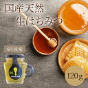 【新発売】 はちみつ 6月採取 120g 蜂蜜 ハチミツ ハニー 国産 母 父 女性 男性 20代 30代 40代 50代 プレゼント もぐはぐ農園