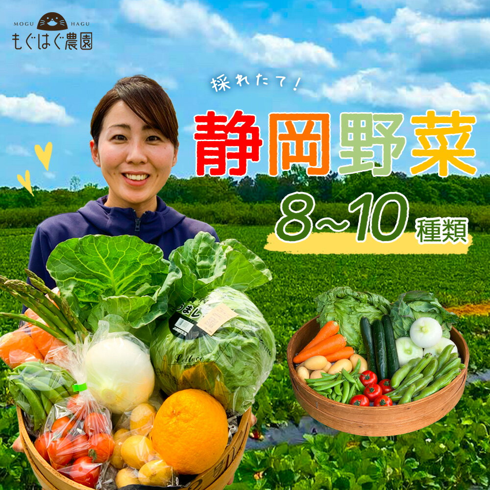 採れたて!静岡野菜セット B 8〜9品目 野菜 セット もぐはぐ農園