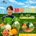 採れたて！静岡野菜セット B 8～9品目 野菜 セット もぐはぐ農園