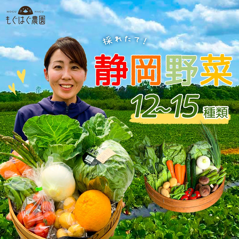 採れたて！静岡野菜セット C 12〜13品目 採れたて 野菜 セット 野菜BOX 詰め合わせ 旬野菜 お試し 産地直送 静岡 新鮮 野菜詰合わせ も..