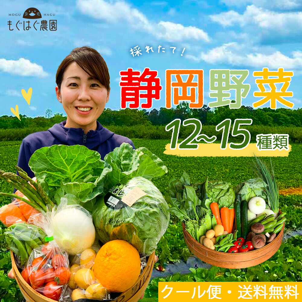 採れたて！静岡野菜セット C 12〜13品目 採れたて 野菜 セット 野菜BOX 詰め合わせ 旬野菜 お試し 産地直送 静岡 新鮮 野菜詰合わせ もぐはぐ農園 野菜 おうちごはん 仕送り 旬 季節のサムネイル