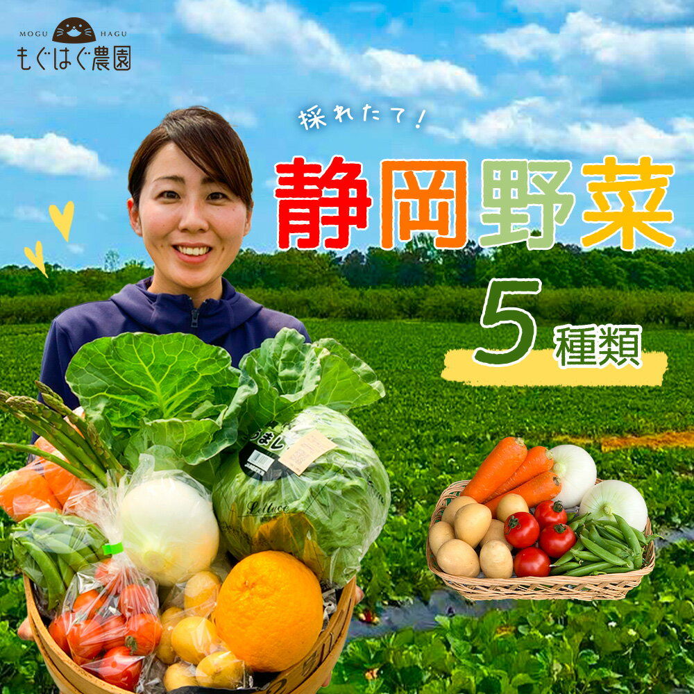 【お試し】採れたて！静岡野菜セット 5品目 野菜 セット もぐはぐ農園のサムネイル