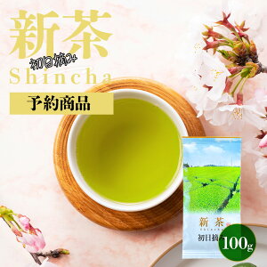 【予約商品 5月1日12:00迄受付】2024年 新茶 限定 初日摘み 深蒸し煎茶 茶葉 100g 2024 春の新茶 静岡茶 新茶 2024年度 2024年産 みずたま農園製茶場 お茶 緑茶 一番茶 国産 新茶 静岡 静岡茶 牧之原 牧之原茶 日本茶 リーフ 深蒸し茶 深むし茶 送料無料 メール便