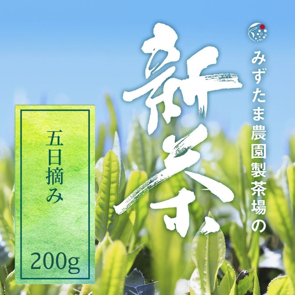 2023年 新茶 限定 五日摘み 深蒸し煎茶 茶葉 200g 2023 春の新茶 2023年度 2023年産 2023年度産 茶葉 みずたま農園製茶場 お茶 緑茶 一番茶 国産 新茶 静岡 静岡茶 牧之原 牧之原茶 無添加 日本茶 リーフ 深蒸し茶 深むし茶 送料無料 メール便のサムネイル
