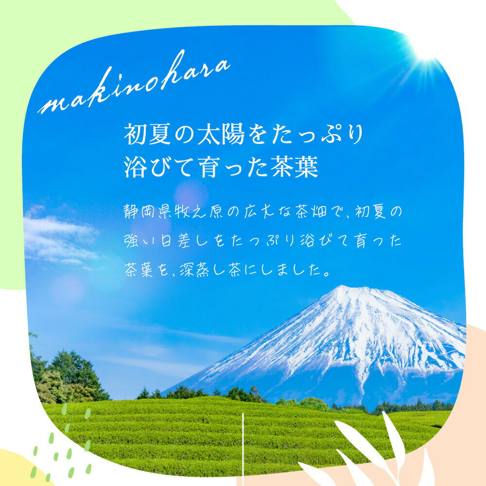 【3袋セット】深蒸し あら茶 茶葉 100g みずたま農園製茶場 お茶 緑茶 荒茶 二番茶 深蒸し茶 深蒸し煎茶 国産 静岡 静岡茶 牧之原 牧之原茶 無添加 日本茶 リーフ 深蒸し茶 深むし茶 送料無料 メール便 カテキン 2