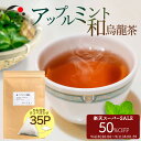 【楽天スーパーSALE開催中!9/11(木)01:59迄】 ハーブティー ブレンド アップルミント×烏龍茶 2.5g×35p ティーバッグ お茶 アイスティー 水出し茶 国産 アフタヌーンティー 冷茶 水出し ハーブ フレッシュ 爽やか 甘さ ひも付き