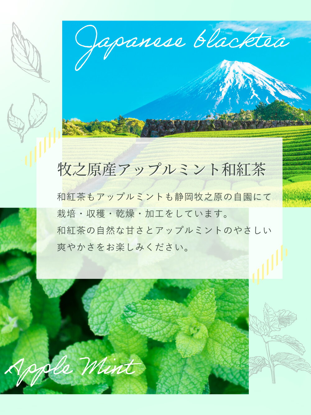 紅茶 国産 ブレンド アップルミント×和紅茶 2.5g×35p ティーバッグ お茶 アイスティー 水出し 国産 水出し紅茶 水だし 水だし紅茶 アフタヌーンティー 冷茶 水出し ハーブ ひも付き 2