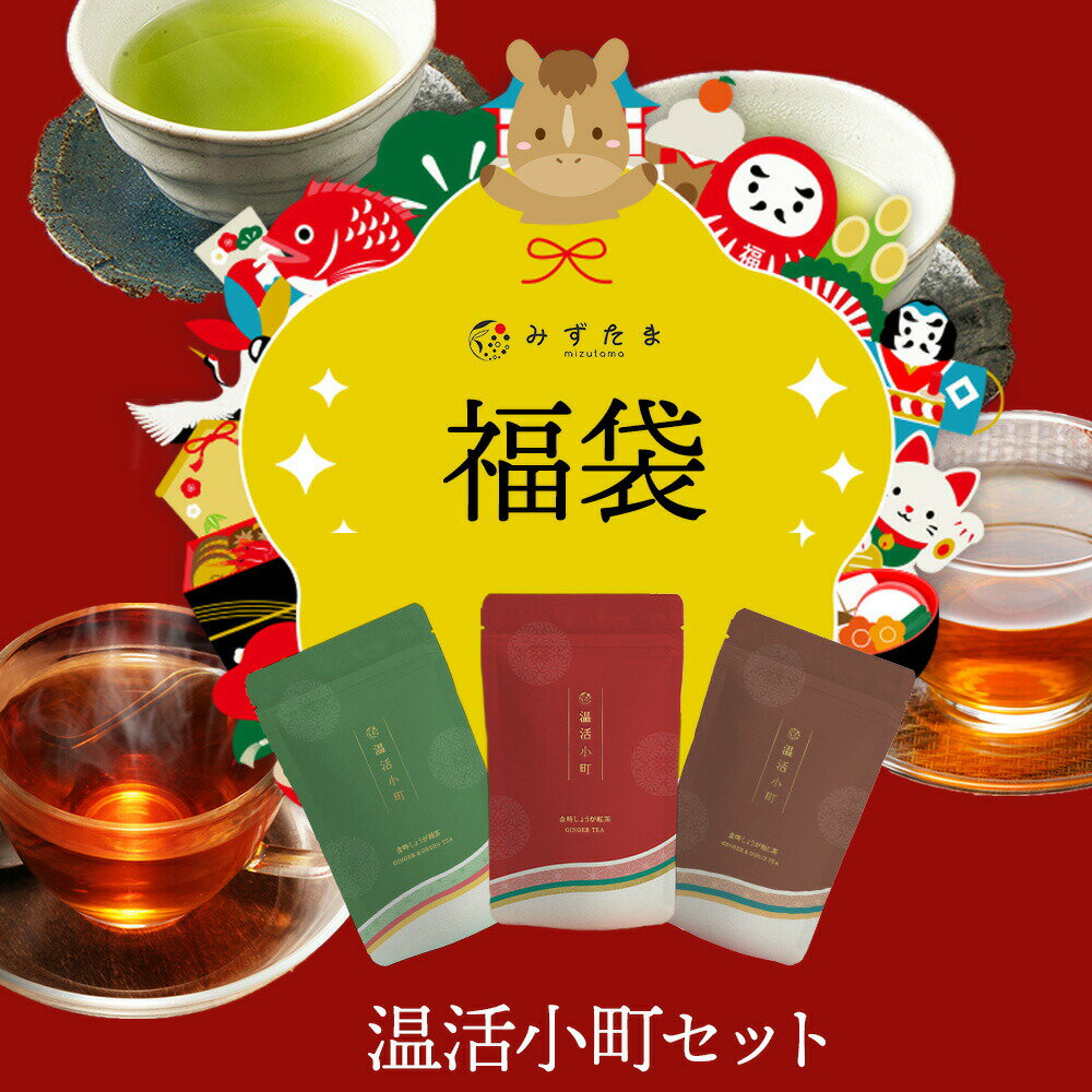 ★12/6(土)0:00〜販売開始★ 【4,860円が2,980円】福袋 2026 お茶 福袋 生姜茶 温活小町 3種セット みずたま農園製茶場 お茶 金時生姜 ティーパック パック 生姜緑茶 しょうが 国産 静岡県産 送料無料 メール便 ぽかぽか 温活 深蒸し茶 福袋 2026