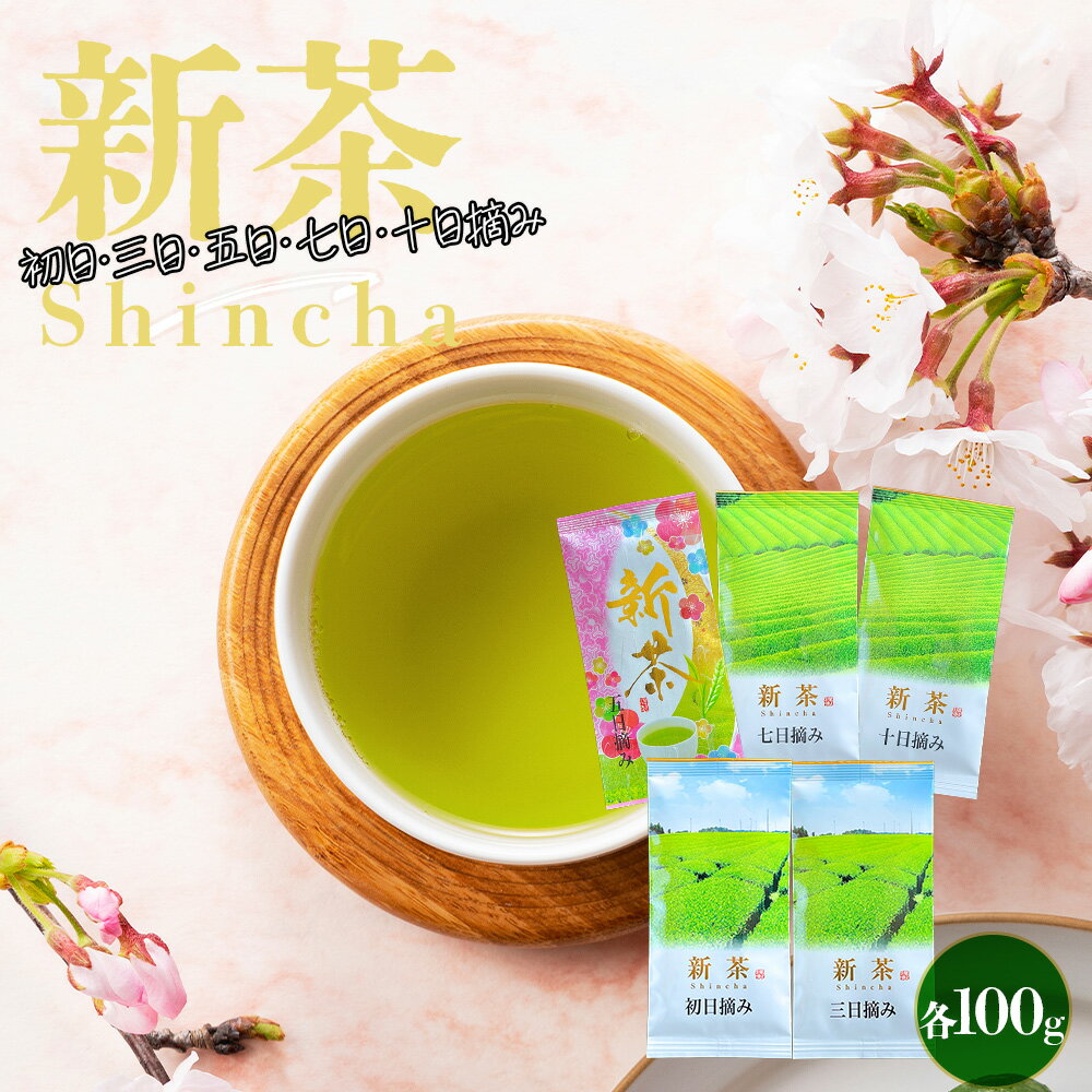 新茶 2025 新茶5種セット 6/30(月)23:59迄販売中 初日 三日 五日 七日 十日摘み  ...