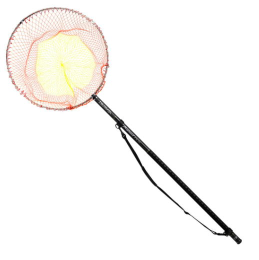 【ダイワ】2023 プログランド磯玉網 50-50・W【4550133254376】