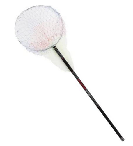 image211.jpg image211.jpg
