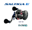 【smtb-TK】【ダイワ】2017ソルティガ BJ 100P-RM(右)【4960652111638】【送料無料:北海道・沖縄は500円頂戴いたします※ロッドとの同梱不可】 【smtb-TK】【ダイワ】2017ソルティガ BJ 100P-RM(右)【4960652111638】【送料無料:北海道・沖縄は500円頂戴いたします※ロッドとの同梱不可】