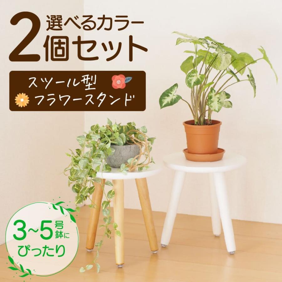 商品情報商品仕様座面：直径21cm座面までの高さ：（組立時）22.5cm構造部材：天然木表面加工：ラッカー塗装※外装・タグは外国語表記となりますので、あらかじめご了承ください。※説明書は付属しておりませんので、ご了承願います。メリット2個セットでお得なスツール型 フラワースタンド3号 5号 鉢に丁度いいサイズの 花台です。高さはペットボトルをほぼ同じ。小さめの観葉植物 花瓶 多肉植物 などにピッタリ。椅子としても使えます。組み立て式で使わないときは収納できます。防水塗装ずみなので濡れても安心。お掃除もラクラク脚にはゴムが付いていますので床を傷つけません。検査用キーワード脚付き 屋外 プランタースタンド プランターラック 屋外 室内 アイアン 北欧 おしゃれ 菜園 庭 プランター台 花台 ガーデンラック 鉢台 アイアンプランター プランター 室内 キッチン すき間収納 すき間ラック 隙間ラック 鉢植え 花壇 ベランダ 植木鉢 屋外 花台 ガーデン花台 台 植物ラック プランタースタンド 植物ラック プランターラック おしゃれ ガーデンラック ホワイト 白 ブラック 黒 花台 屋外 室内 プランタースタンド インテリア ガーデニング フラワースタンド プランターボックス フラワー スタンド フラワーラック 園芸 雑貨 プレゼント 送料無料