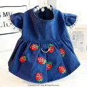 服 春 猫 姫 デニムスカート 可愛い ストロベリー リード付き 柴犬 小型犬 中型犬 ペット 超かわいい