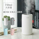 超音波 USB 加湿器 卓上 ペットボトル 卓上加湿器 充電式加湿器 静音 28時間連続稼働 携帯式加湿器