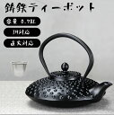 誕生日、結婚 家庭用鉄ケトル 贈り物 伝統工芸品 お茶 ティーポット 直火可 補給 鉄分 やかん IH対応 鉄瓶急須 1~3人 780mL