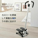 室内運動 室内 エクササイズ トレーニング 健康器具 器具 マシン 足踏み 足腰 健康 座ったまま ステッパー レッド ブラック