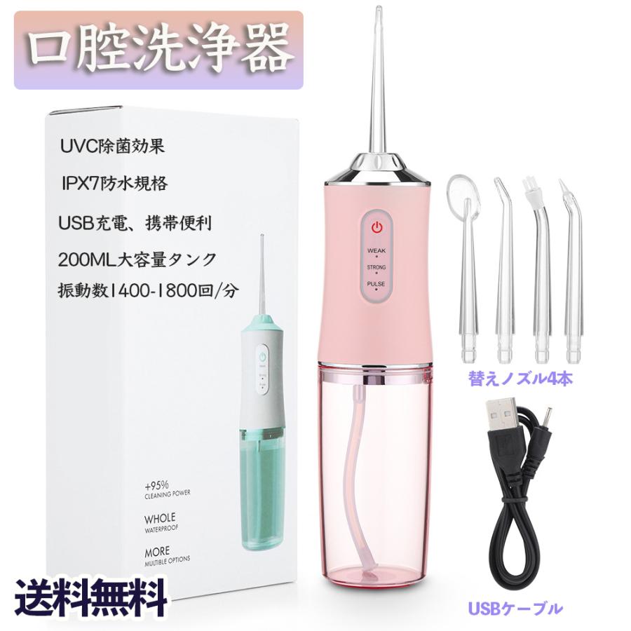電動 口腔洗浄機 口内洗浄機 防水 歯ブラシ 携帯型 口腔ケア 歯石取り 電動 usb充電式 歯垢除去 口腔洗浄器