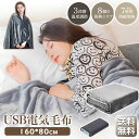 肩掛け 大きめ 電熱 肩掛け毛布 ひざ掛け ポケット付き ファスナー付き 3段階温度調節 8発熱ヒーター USB給電 電気毛布