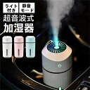 オフィス ポータブル 大容量 卓上加湿器 次亜塩素酸水対応 車内 車用 車載用 車 車載 充電式 卓上