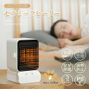 温冷風扇 電気ファンヒーター 800W 小型 600ml 加湿器 2加湿モード 3段階