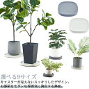 観葉植物 プランター 鉢植え台 プレート トレー トレイ 受け皿 受皿 鉢皿 鉢台 キャスター付き 台車 隠しキャスター付き鉢皿