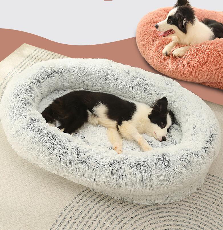 ٥å ǭ٥å к ɴ ڥåȥå  ⤳⤳ 餫 դդ դդ  ǭ 襤 ڥåȥ٥å