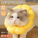 去勢手術 軽量 サイズ調整 柔らかい ソフト 犬用品 猫用品 ペットグッズ 2点セット クッション ペット用品 エリザベスカラー