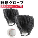 グラブ グローブ 野球 大人 トレーニング用 レジャー フアミリースポーツ 野球