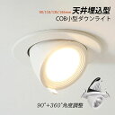 天井照明器具 交換 埋め込み式 小型 天井ライト 吹き抜け リビング ダイニング 玄関 寝室 廊下 COB 360度回転