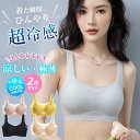 高品質 2枚セット 夏用ブラジャー 接触冷感 涼しい ノンワイヤー 軽量 吸汗速乾 ひびきにくい ワイヤレス ムレにくい