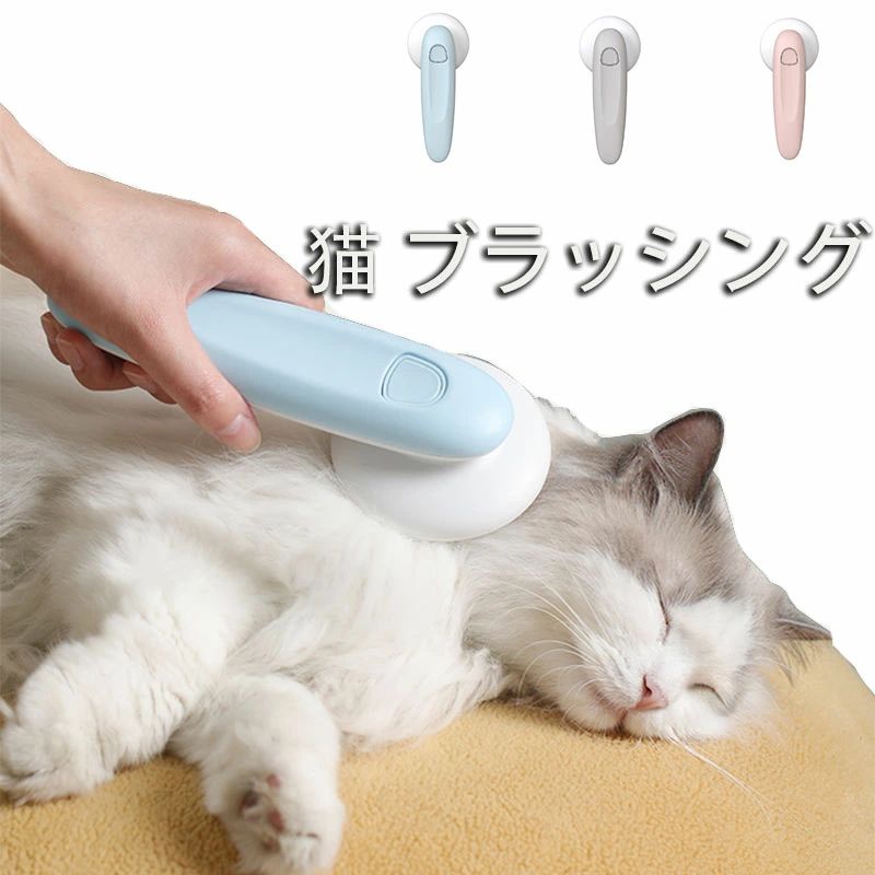  롼ߥ ԥ֥饷 ץå 󥿥å ֥饷 ǭ֥饷 ֥å ǭ